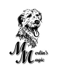 Merlin's Magic